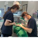 이프라임치과의원 이미지