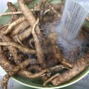 오르목장 이미지