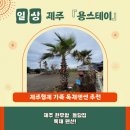 용스테이민박 이미지