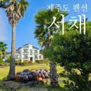 서채 | 제주도펜션 산방산 근처 가성비 좋은 제주 서채 작은채