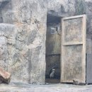 힐링 그리고 하루 | 아이와가볼만한곳 찾는다면 가평베고니아새정원에서 보낸 힐링 하루 후기