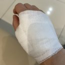 이따봐요 이미지