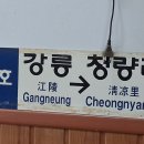 정호닭갈비 Daum카페