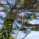 사기점농장 이미지