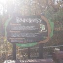 동네 행정사사무소 이미지