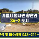 자연공인중개사합동사무소 이미지