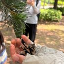 자연공작소 | [서울 아이랑] 무료 가족 숲체험, 여의도생태공원 주말 자연공작소 솔직 후기