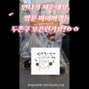 쌍문장충족발 | [언냐가 쏜다가 돌아왔어요!] 쌍문 마이머랭 두쫀쿠 오픈런 웨이팅 후기!! (4개월 만에 재방문)