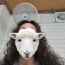 이미경헤어라인 이미지