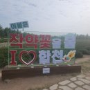 꽃나루 민박 이미지