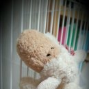 주식회사 삼이 이미지