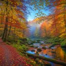 만남의광장 종합관광안내소 | 수도권 관광 안내소 현황 | 서울 경기도 인천에 있는 안내소 명칭, 주소, 전화번호, 운영시간 등