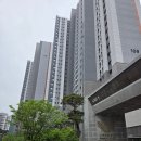 티지테라