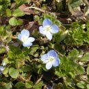 서망항2 이미지