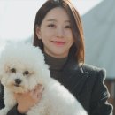해피 스포츠경향