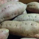 한정농산물