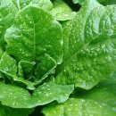 (주)사랑교통 이미지