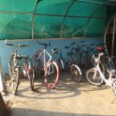 호성자전거 이미지