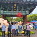 제619차 목요산우회 산행(제23회 영광 불갑산 상사화 축제를 구경함) 이미지