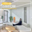 스테이13월 D | 경주 감성 숙소 스테이13월 신축 독채 풀빌라 펜션 추천