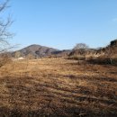제천금성우체국 이미지