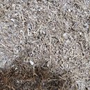 무릎 통증 관리에 좋은 닭발 우슬환 이미지