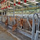 축협동물병원 이미지