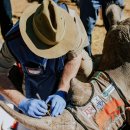 ELITE FIT 24 이미지