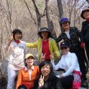 송화관광농원 이미지