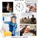 남성요리교실 | 노화를 늦추는 보고서 - 돈 안들이고 젊어지는 비싼 생각