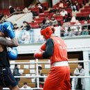 타이거 권투체육관 이미지