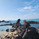 행복가득여행사 이미지