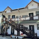 푸조와곰솔 이미지