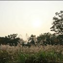 화서공원 이미지