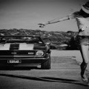 TONY JOE WHITE - Ain't Goin' Down This Time 이미지