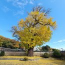 [번개후기] 뽀나쑤~정읍향교 이미지