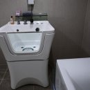 멍스타애견 이미지