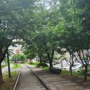 경춘선숲길(도깨비시장 앞) 이미지