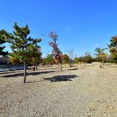 경주초우오토캠핑장 이미지