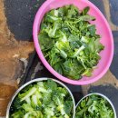 빛들농장 이미지