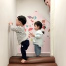 릴리펏 동대문점 이미지