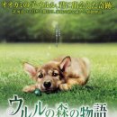 숲이야기 이미지