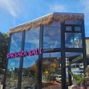 바바라 발리 이미지