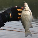 감곡낚시터 이미지