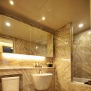 리젤펠리스 이미지