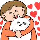 메종이츠 네이버블로그