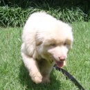 달성공원관리사무소 이미지