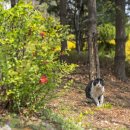 월구지어린이공원 이미지