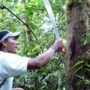 정글(Jungle)