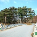 영월-77